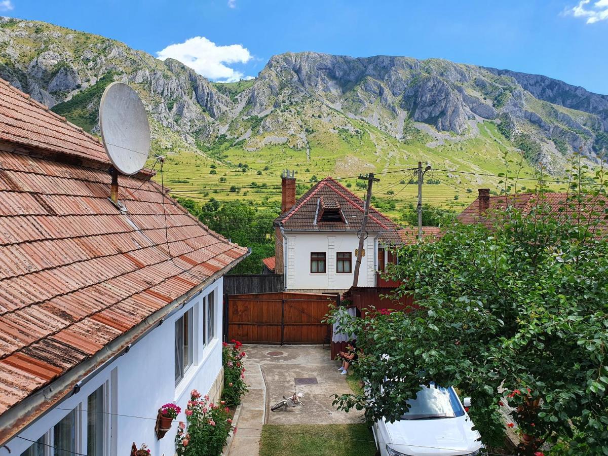 Rozsa Panzio Bed and Breakfast Rimetea Exteriör bild