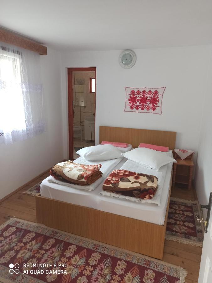 Rozsa Panzio Bed and Breakfast Rimetea Exteriör bild