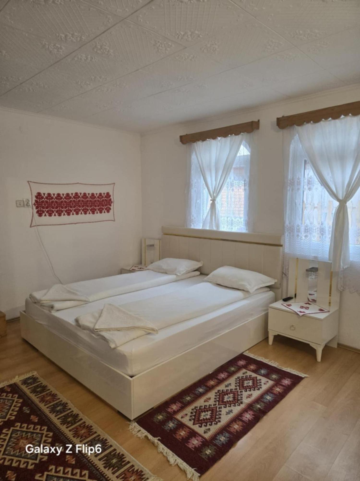 Rozsa Panzio Bed and Breakfast Rimetea Exteriör bild